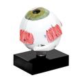 3B Scientific Model Eye for Ultrasonic Biometry 1012869